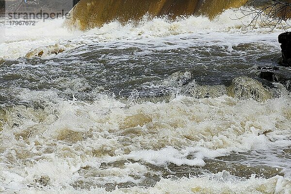 Starke Strömung in einem Wildfluss  Chateauguay River  Provinz Quebec  Kanada  Nordamerika