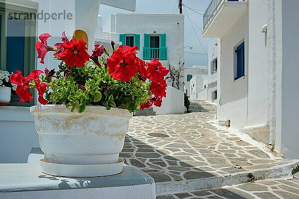 Malerische enge Gasse mit traditionellen weißgetünchten Häusern und blühenden Geranien in Naousa  einer berühmten Touristenattraktion auf der Insel Paros  Griechenland  Europa