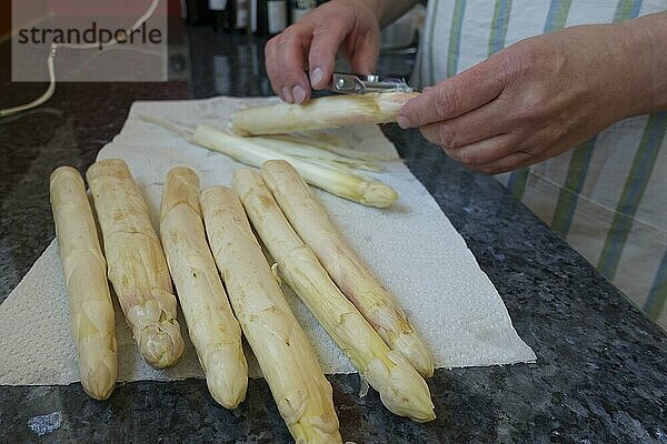 Badische Küche  Zubereitung Spargel mit Kratzete  weißer Spargel wird geschält  Schälmesser  Spargelmesser  Gemüse  gesund  vegetarisch  typisch Badisch  Traditionsküche  Männerhände  Foodfotografie  Studio  Deutschland  Europa