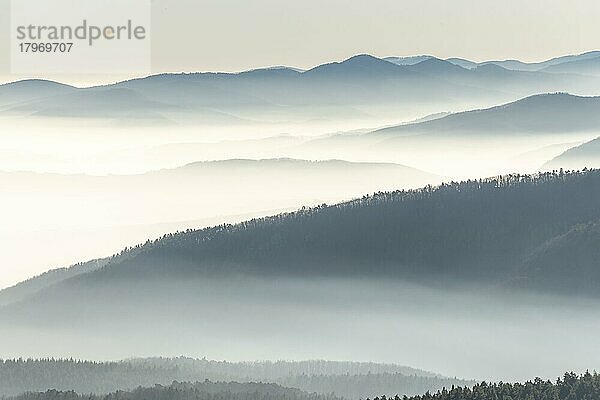 Silhouetten von Bergen im Nebelmeer im Winter. Vogesen  Frankreich  Europa