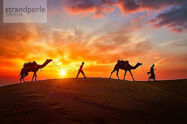 Indische Kameleers (Kameltreiber) Beduinen mit Kamel Silhouetten in Sanddünen der Wüste Thar bei Sonnenuntergang. Karawane in Rajasthan Reise Tourismus Hintergrund Safari Abenteuer. Jaisalmer  Rajasthan  Indien  Asien