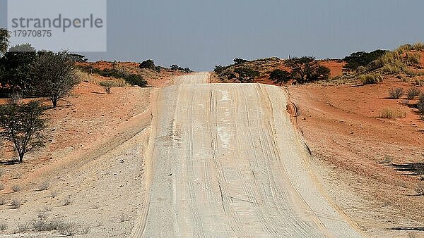 Schotterstraße  Gravelroad  südliche Kalahari  Namibia  Afrika