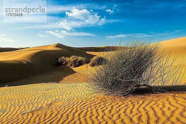 Sam Sanddünen der Wüste Thar unter schönem Himmel  Rajasthan  Indien  Asien