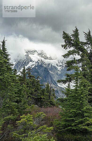 Ausblick vom Table Mountain auf Mt. Shuksan mit Schnee und Gletscher  Mt. Baker-Snoqualmie National Forest  Washington  USA  Nordamerika