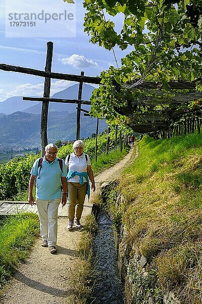 Wanderer  Senioren am Tschermser Waalweg  bei Marling  Burggrafenamt  Südtirol  Italien  Europa
