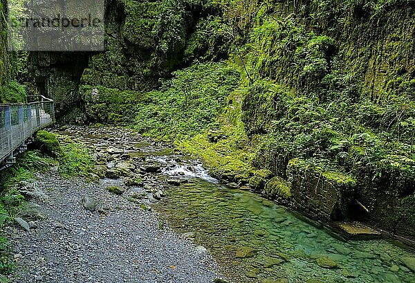 Schlucht Les Gorges de Kakuetta  Gorges Kakuetta  Sainte Engrace  Sainte-Engrâce  West Pyrenäen  Département Pyrénées-Atlantiques. Region Nouvelle-Aquitaine  Pays Basque  Baskenland  Frankreich  Europa