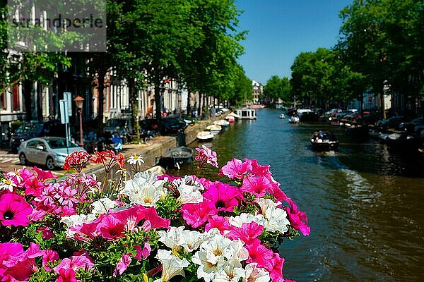Amsterdam Kanal mit vorbeifahrenden Booten Blick über Blumen auf der Brücke. Fokus auf Blumen. Amsterdam  Niederlande  Europa