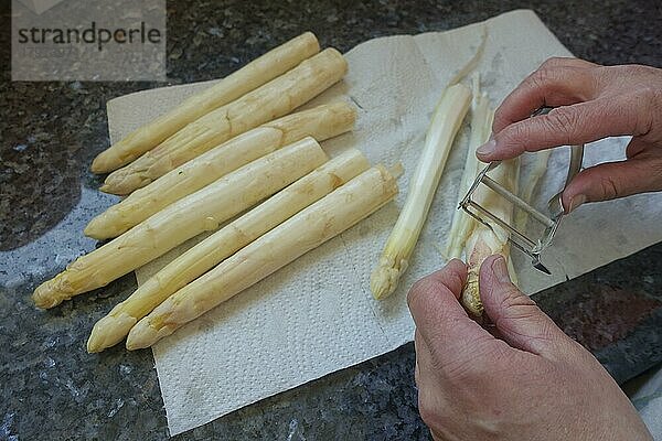 Badische Küche  Zubereitung Spargel mit Kratzete  weißer Spargel wird geschält  Schälmesser  Spargelmesser  Gemüse  gesund  vegetarisch  typisch Badisch  Traditionsküche  Männerhände  Foodfotografie  Studio  Deutschland  Europa