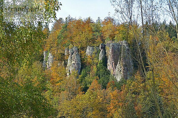 Baden-Württemberg  Bad Herrenalb  Falkenstein Felsen im Herbst  Nord  Schwarzwald