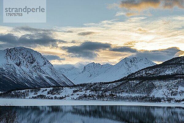 Fjord im Winter  Ramfjord  Norwegen  Europa