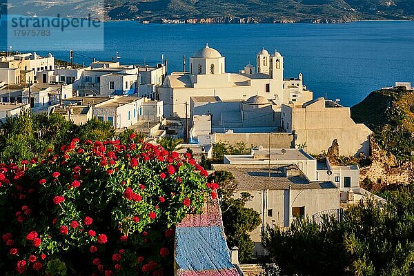 Malerischer Blick auf die griechische Stadt Plaka auf der Insel Milos über rote Geranienblüten und die orthodoxe griechische Kirche  Fokus Blumen  Dorf Plaka  Insel Milos  Griechenland  Europa