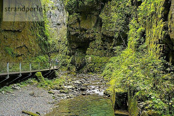 Schlucht Les Gorges de Kakuetta  Gorges Kakuetta  Sainte Engrace  Sainte-Engrâce  West Pyrenäen  Département Pyrénées-Atlantiques. Region Nouvelle-Aquitaine  Pays Basque  Baskenland  Frankreich  Europa