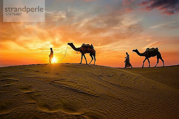 Indische Kameleers (Kameltreiber) Beduinen mit Kamel Silhouetten in Sanddünen der Wüste Thar bei Sonnenuntergang. Karawane in Rajasthan Reise Tourismus Hintergrund Safari Abenteuer. Jaisalmer  Rajasthan  Indien  Asien