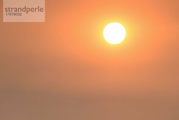 Sonne am eingetrübten Himmel  kurz vor Sonnenuntergang  Nordrhein-Westfalen  Deutschland  Europa