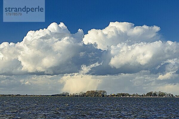 Wolken am Dümmer See  Binnensee  Weite  Lembruch  Niedersachsen  Deutschland  Europa