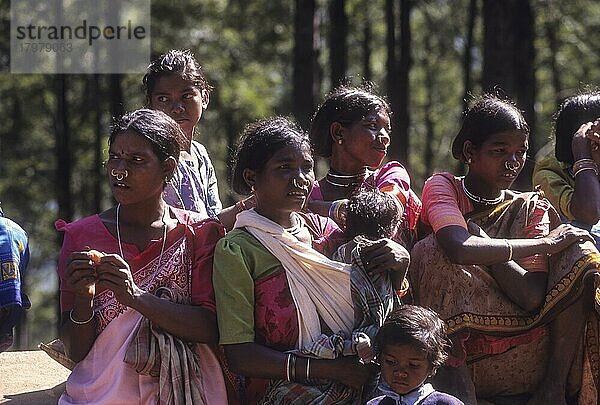 Stammesangehörige Frauen im Araku-Tal in Visakhapatnam oder Vizag  Andhra Pradesh  Indien  Asien