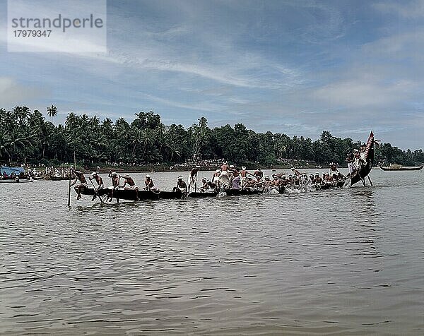 Aranmula-Bootsrennen während des Onam-Festes in der Nähe von Haripad  Kerala  Indien  Asien