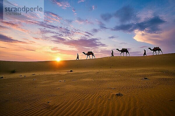 Indische Kameleers (Kameltreiber) Beduinen mit Kamel Silhouetten in Sanddünen der Wüste Thar bei Sonnenuntergang. Karawane in Rajasthan Reise Tourismus Hintergrund Safari Abenteuer. Jaisalmer  Rajasthan  Indien  Asien