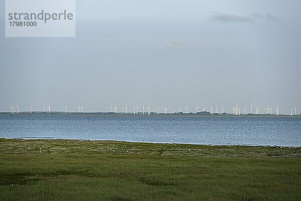 Blick über das Wattenmeer auf Windpark bei Norddeich  Insel Juist  Nordsee  Ostfriesland  Niedersachsen  Deutschland  Europa