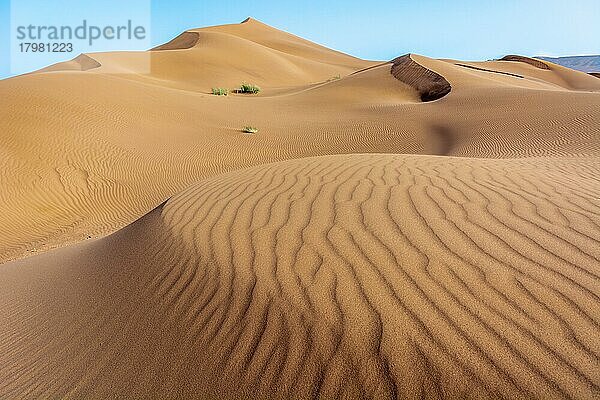 Erg Chebbi  Dünen in der Sandwüste von Merzouga  Ziel für Reisende