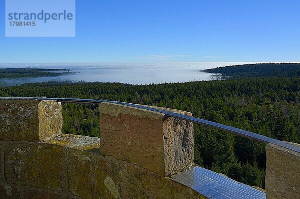 Nord  Schwarzwald bei Kaltenbronn  Ausblick vom Hohlohturm  Kaiser Wilhelm Thurm 1857  Schwarzwald im Nebel