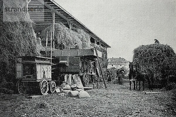 Elektrische Dreschmaschine  Landwirtschaft  Foto aus (1898)  Historisch  digitale Reproduktion einer Originalvorlage aus dem 19. Jahrhundert  Originaldatum nicht bekannt