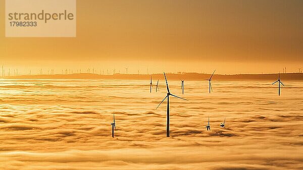 Windräder ragen aus Wolkendecke  Silhouetten bei Sonnenuntergang  Köterberg  Lügde  Weserbergland  Nordrhein-Westfalen