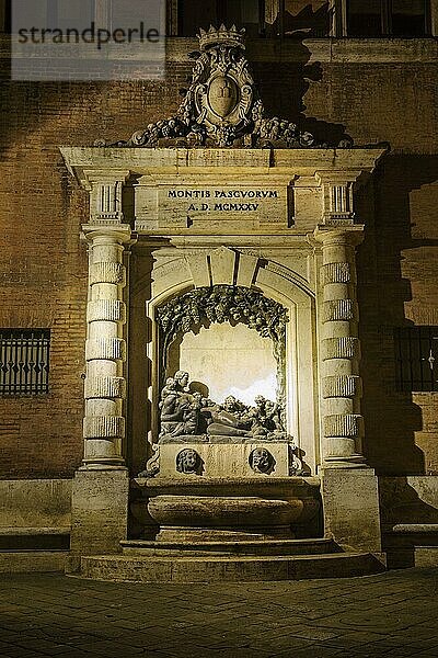 Historischer Brunnen in Stil von Barock Fontana dell' Abbondanza in historische Altstadt von Siena bei Nacht  Brunnen des Überflusses  Brunnen der Fülle  Mutterbrunnen  Siena  Tosana  Italien  Europa