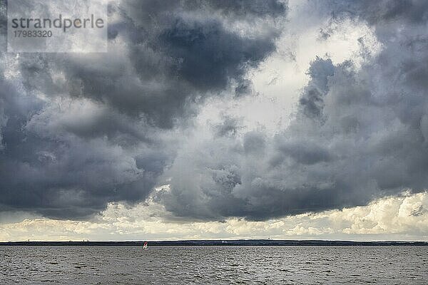 Dunkle Wolken über dem Dümmer See  Binnensee  See  Weite  Hüde  Niedersachsen  Deutschland  Europa