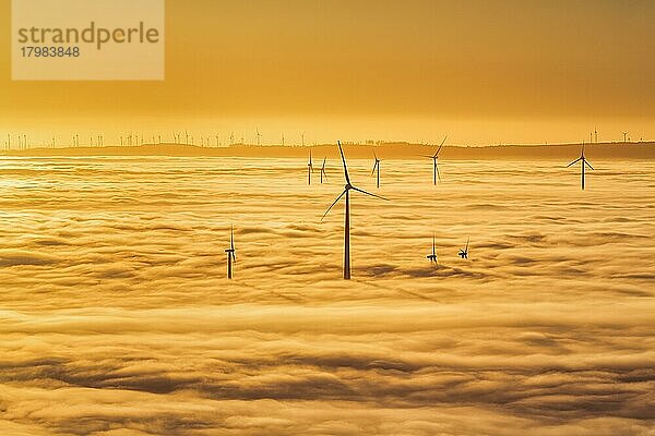 Windräder ragen aus Wolkendecke  Silhouetten bei Sonnenuntergang  Köterberg  Lügde  Weserbergland  Nordrhein-Westfalen