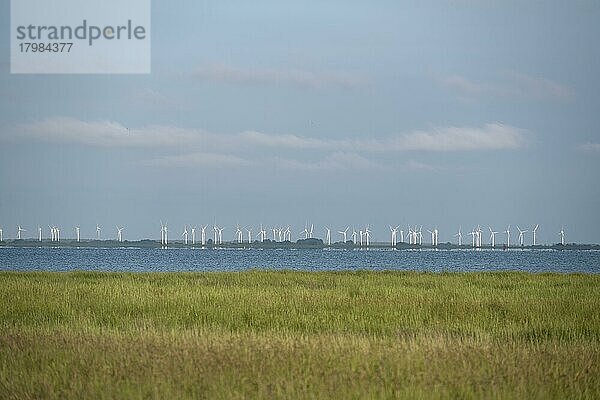 Blick über das Wattenmeer auf Windpark bei Norddeich  Insel Juist  Nordsee  Ostfriesland  Niedersachsen  Deutschland  Europa