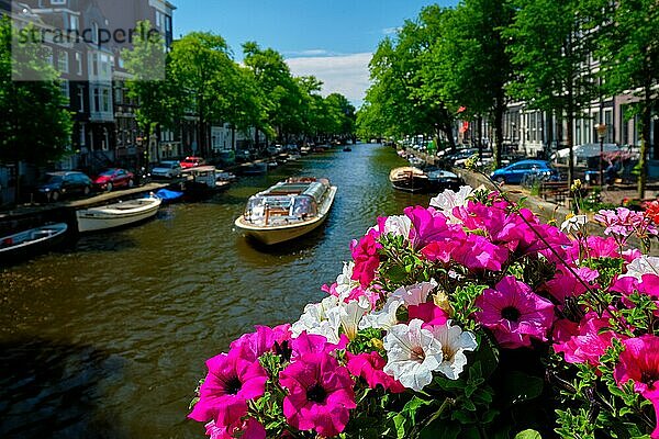 Amsterdam Kanal mit vorbeifahrenden Booten Blick über Blumen auf der Brücke. Fokus auf Blumen. Amsterdam  Niederlande  Europa