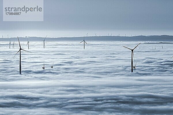 Windräder ragen aus Wolkendecke  Gegenlicht  Köterberg  Lügde  Weserbergland  Nordrhein-Westfalen