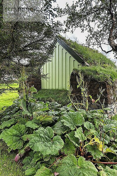 Historisches Bauernhaus  Grassodenhaus im Sommer  altes Gehöft  Torfgehöft  Reynistaður bei Sauðárkrókur  Saudarkrokur  Skagafjörður  Nordwestisland  Island  Europa