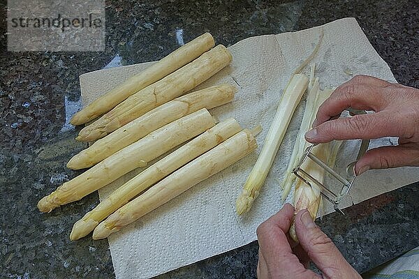 Badische Küche  Zubereitung Spargel mit Kratzete  weißer Spargel wird geschält  Schälmesser  Spargelmesser  Gemüse  gesund  vegetarisch  typisch Badisch  Traditionsküche  Männerhände  Foodfotografie  Studio  Deutschland  Europa