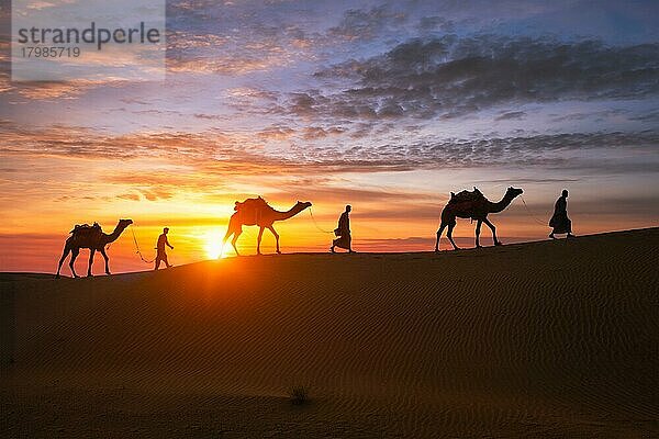 Indische Kameleers (Kameltreiber) Beduinen mit Kamel Silhouetten in Sanddünen der Wüste Thar bei Sonnenuntergang. Karawane in Rajasthan Reise Tourismus Hintergrund Safari Abenteuer. Jaisalmer  Rajasthan  Indien  Asien