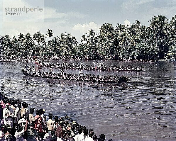 Die rasenden Schlangenboote in Alappuzha oder Alleppey  Kerala  Indien  Asien