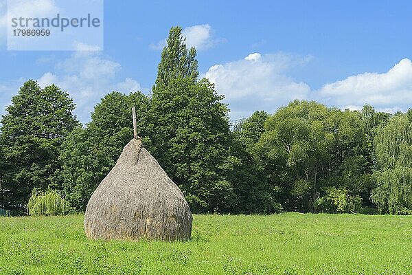 Traditioneller Spreewälder Heuballen  Spreewald  Brandenburg  Deutschland  Europa