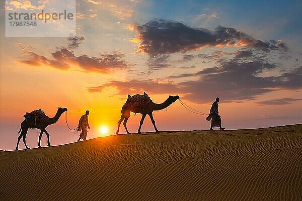 Indische Kameleers (Kameltreiber) Beduinen mit Kamel Silhouetten in Sanddünen der Wüste Thar bei Sonnenuntergang. Karawane in Rajasthan Reise Tourismus Hintergrund Safari Abenteuer. Jaisalmer  Rajasthan  Indien  Asien