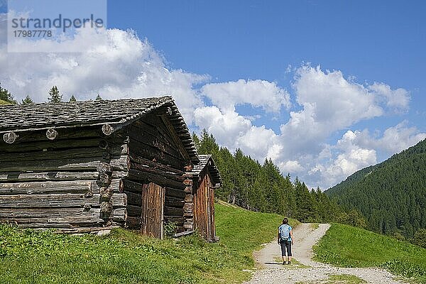 Wanderer vor alten Heuschobern  Lazinser Hof  am Panoramaweg  Pfelders  Pfelderer Tal  Naturpark Texelgruppe  Südtirol  Italien  Europa