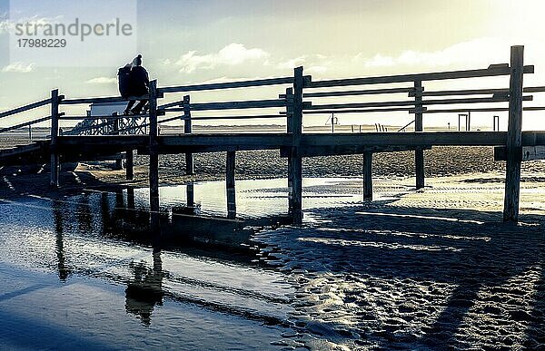 Holzstelzen im Gegenlicht an einem Strandhauses in Sankt Peter Ording  Schleswig-Holstein  Deutschland  Europa