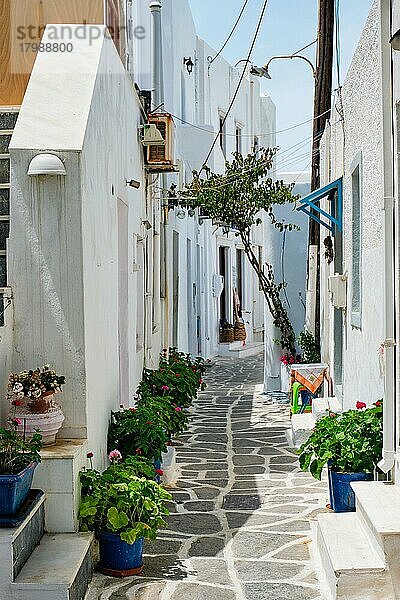 Malerische enge Gasse mit traditionellen weißgetünchten Häusern und blühenden Blumen in Naousa  einer berühmten Touristenattraktion auf der Insel Paros  Griechenland  Europa