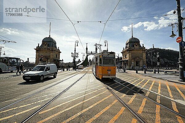 Freiheitsbrücke mit Straßenbahn  Straßenverkehr  Gegenlicht  Pest  Budapest  Ungarn  Europa