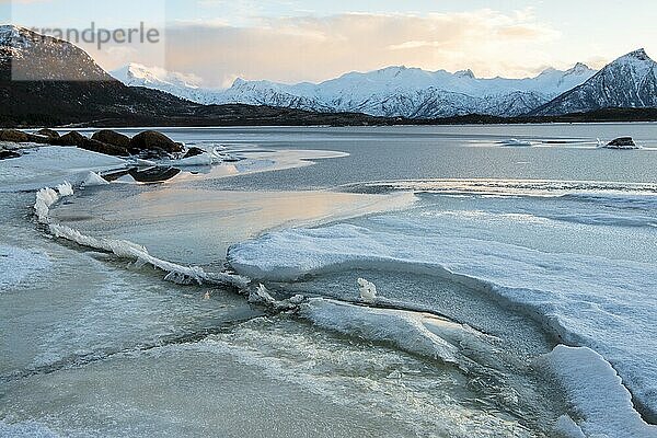 Gefrorener Fjord  Vatnfjorden  Nordpollen  Vagan  Lofoten  Norwegen  Europa