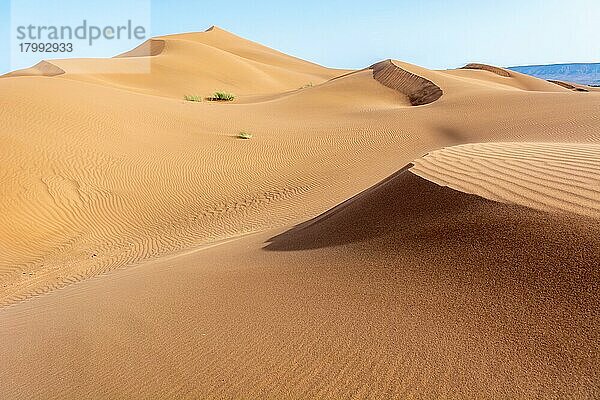 Erg Chebbi  Dünen in der Sandwüste von Merzouga  Ziel für Reisende
