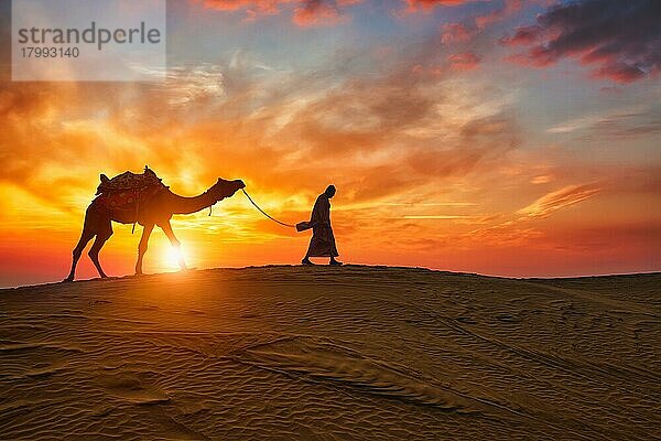 Indische Kameleer (Kameltreiber) Beduine mit Kamel Silhouetten in Sanddünen der Wüste Thar bei Sonnenuntergang. Karawane in Rajasthan Reise Tourismus Hintergrund Safari Abenteuer. Jaisalmer  Rajasthan  Indien  Asien