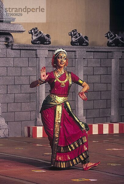 Bharatnatyam  klassischer indischer Tanz  Natyanjali-Festival im Nataraja-Tempel in Perur in Coimbatore  Tamil Nadu  Indien  Asien