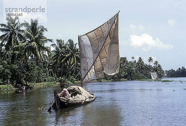 Ein Bootsmann trägt Sand auf einer Dhow  einem traditionellen Segelschiff  in den Backwaters von Kollam  Quilon  Kerala  Indien  Asien