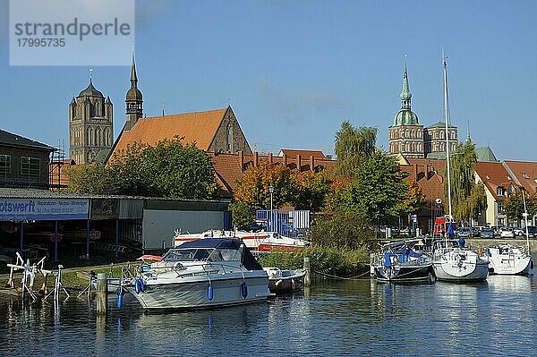Hafen von Stralsund  Kirchen St. Jakobi (links) und St. Nikolai (rechts) im Hintergrund  Oktober  Stralsund  Mecklenburg-Vorpommern  Ostsee  Deutschland  Europa
