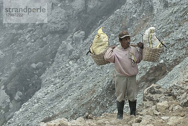 Einheimischer Mann trägt Schwefelblöcke in Körben an den Hängen des Vulkankraters  Mount Ijen  Ost-Java  Indonesien  Asien